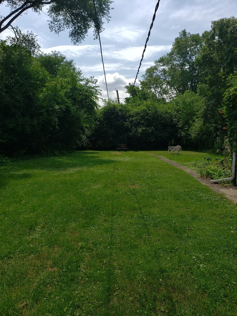 1917 Cedar Road Homewood, IL 60430 - Photo 20 of 20 a view of a field with a tree in the background