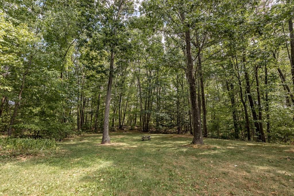 101 Shepard Road Sturbridge, MA 01566 - Photo 40 of 42 a view of outdoor space with trees