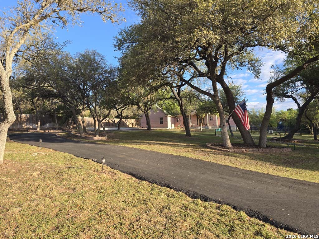 184 Stockman Circle Spring Branch, TX 78070 - Photo 3 of 46