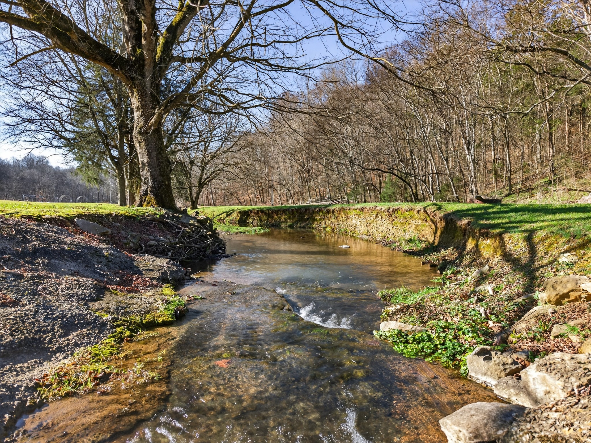 113 Poorhouse Road Taft, TN 38488 - Photo 42 of 50