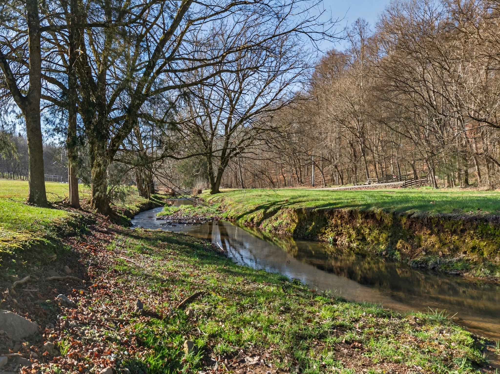 113 Poorhouse Road Taft, TN 38488 - Photo 43 of 50