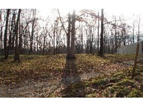 2100 Shepard Patrick Road Spencer, IN 47460 - Photo 3 of 4 Gallery Image 3