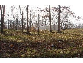2100 Shepard Patrick Road Spencer, IN 47460 - Photo 4 of 4 Gallery Image 4