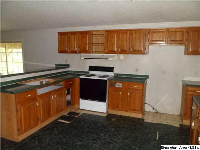 1600 Ray Wyatt Road Ashville, AL 35953 - Photo 5 of 17