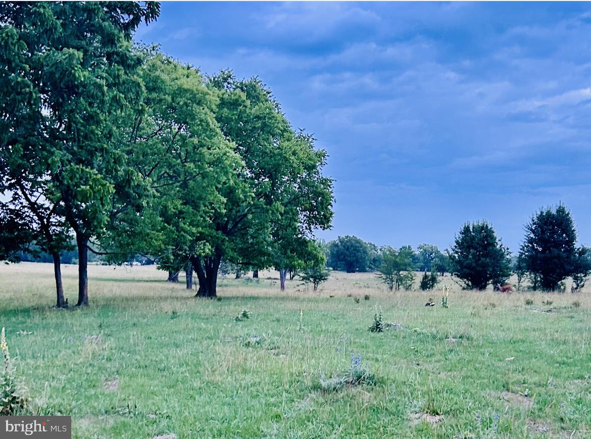 a view of some trees in a field