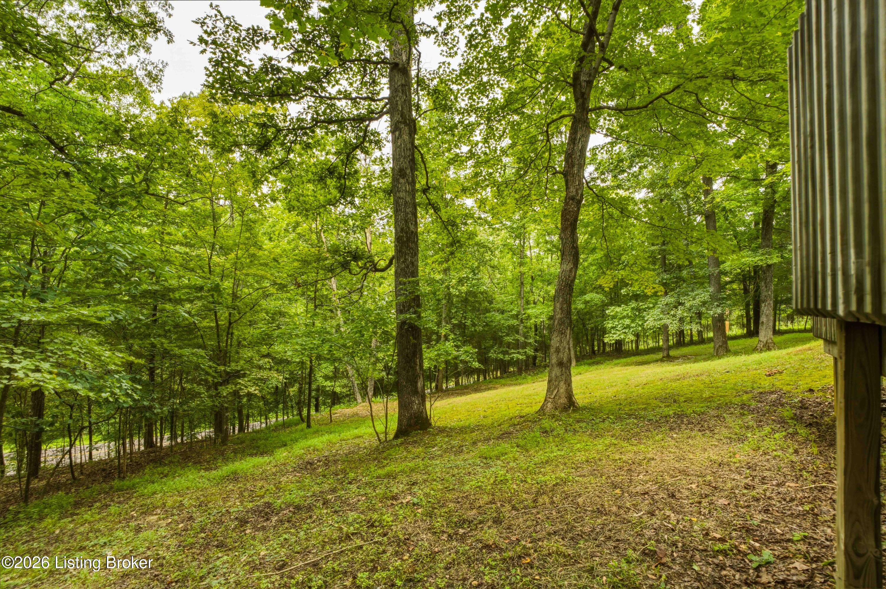 957 Wildflower Ridge Road Brandenburg, KY 40108 - Photo 52 of 70 70-Backyard