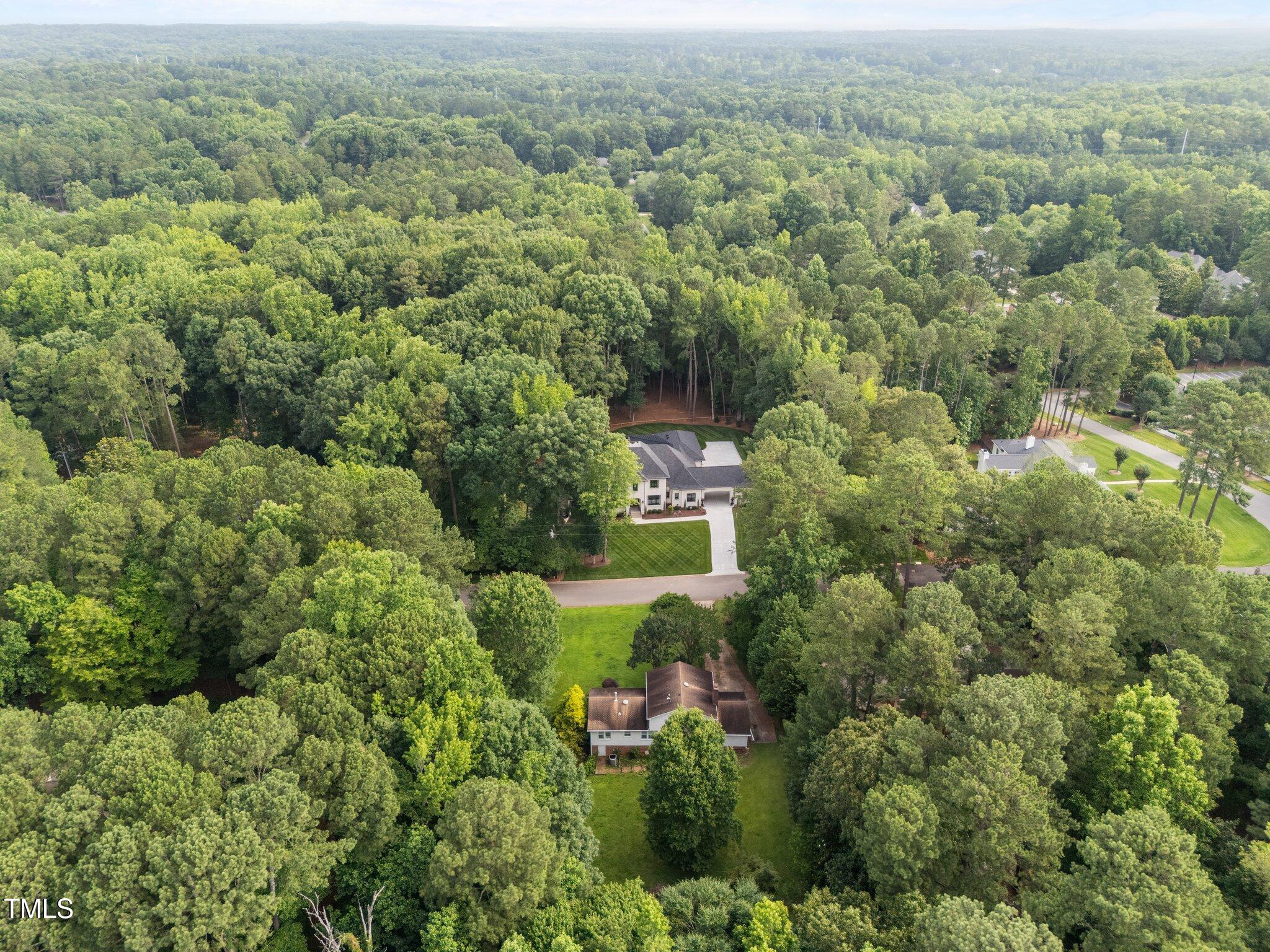 204 Chatterson Drive Raleigh, NC 27615 - Photo 40 of 40 39-web-or-mls-DJI_20250613090243_0784_D