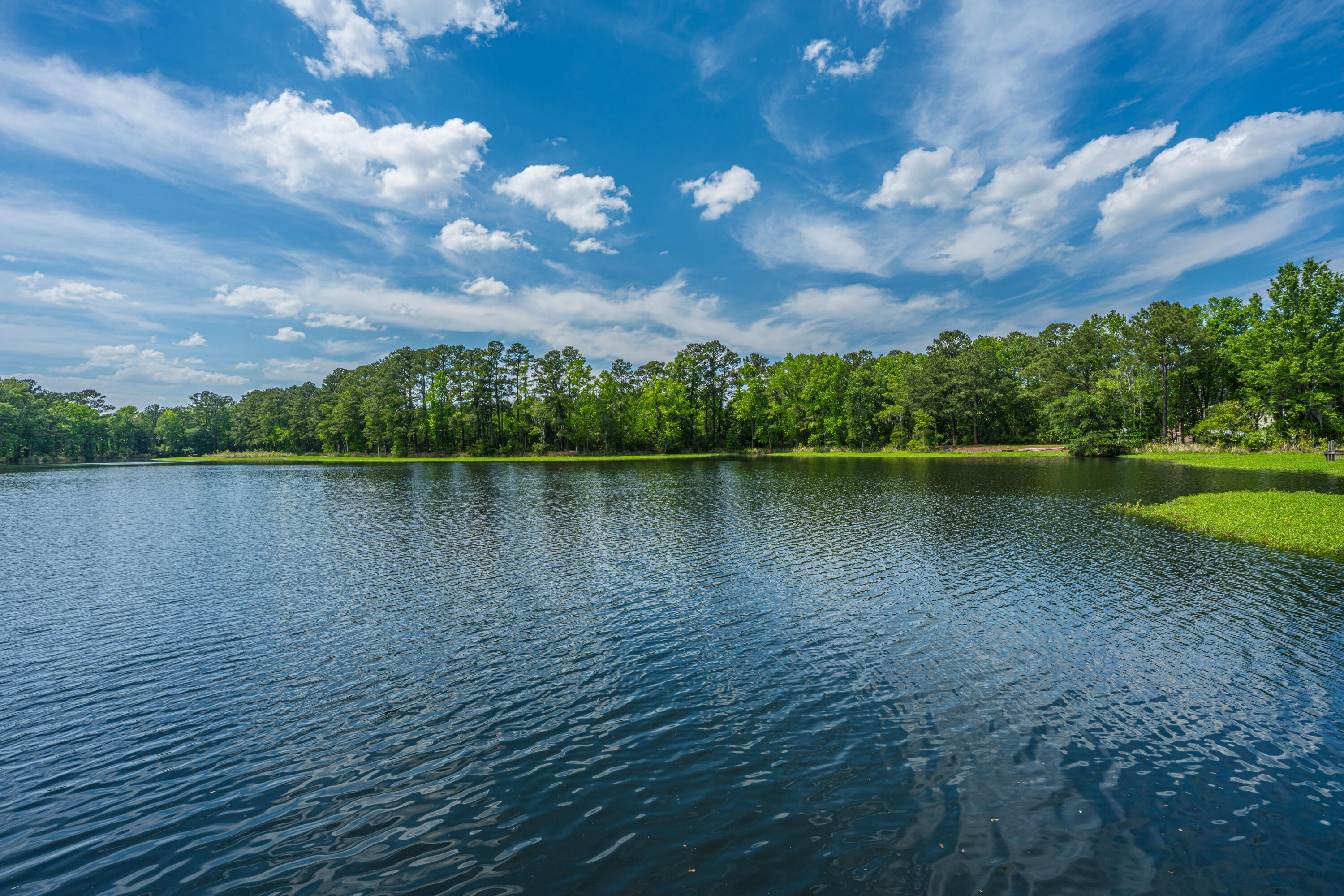 1725 Waterside Boulevard Moncks Corner, SC 29461 - Photo 11 of 32 1725WatersideDr063