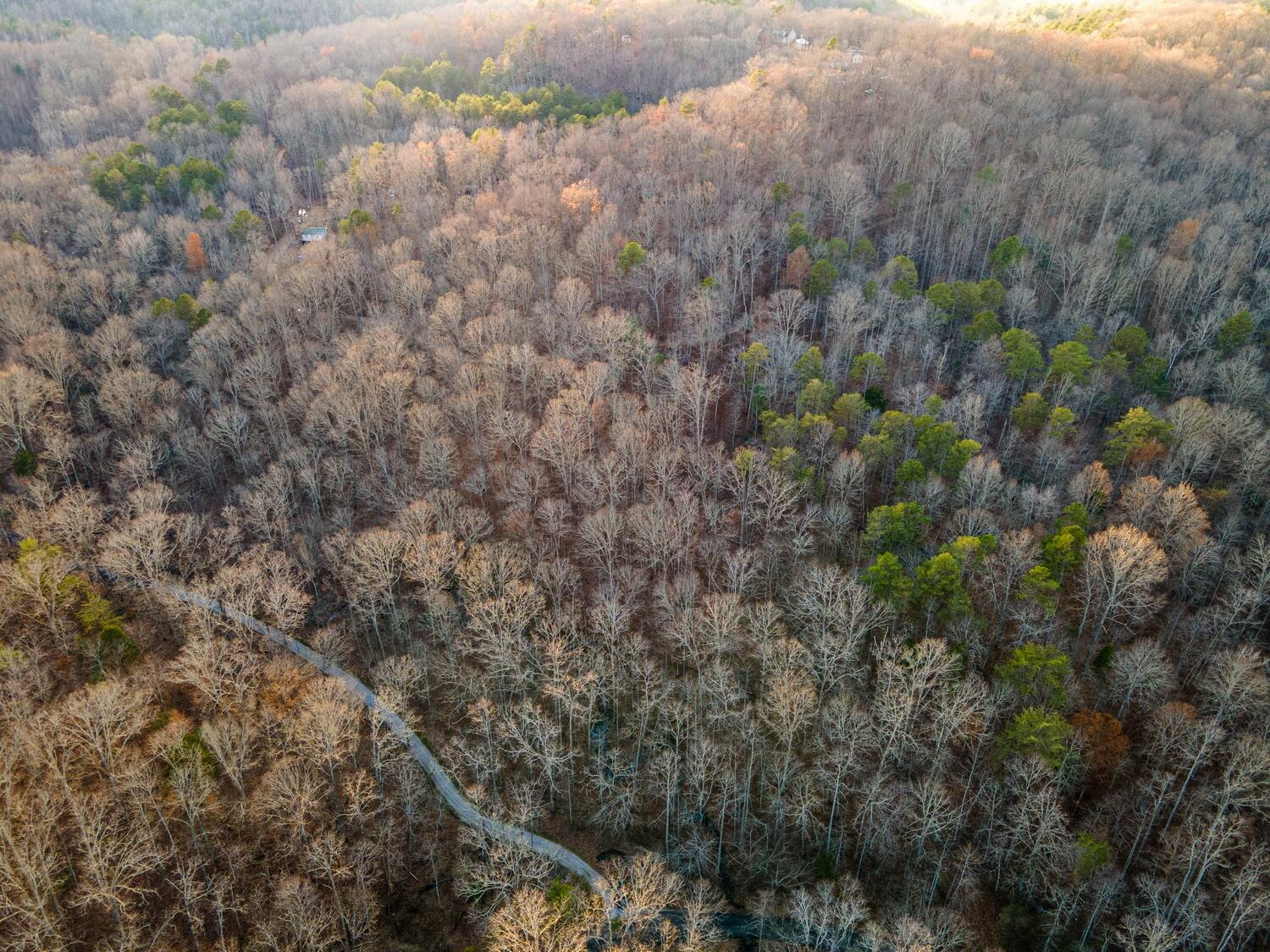 9999 West Adkins Arthur Road Somerset, KY 42501 - Photo 1 of 24 04_DJI_0618