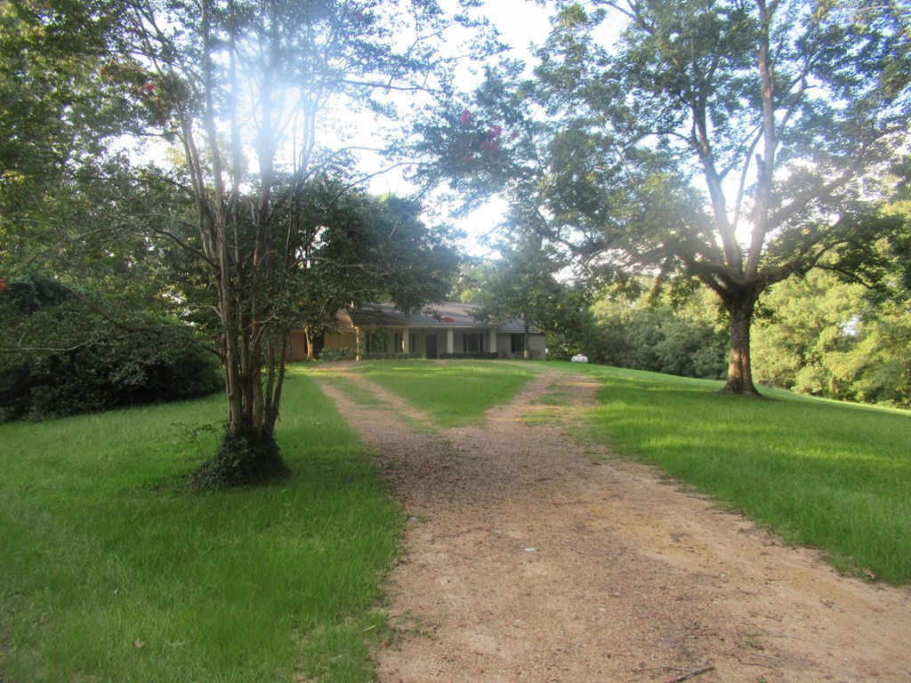 63 Stirling Road Natchez, MS 39120 - Photo 3 of 49 Photo 3