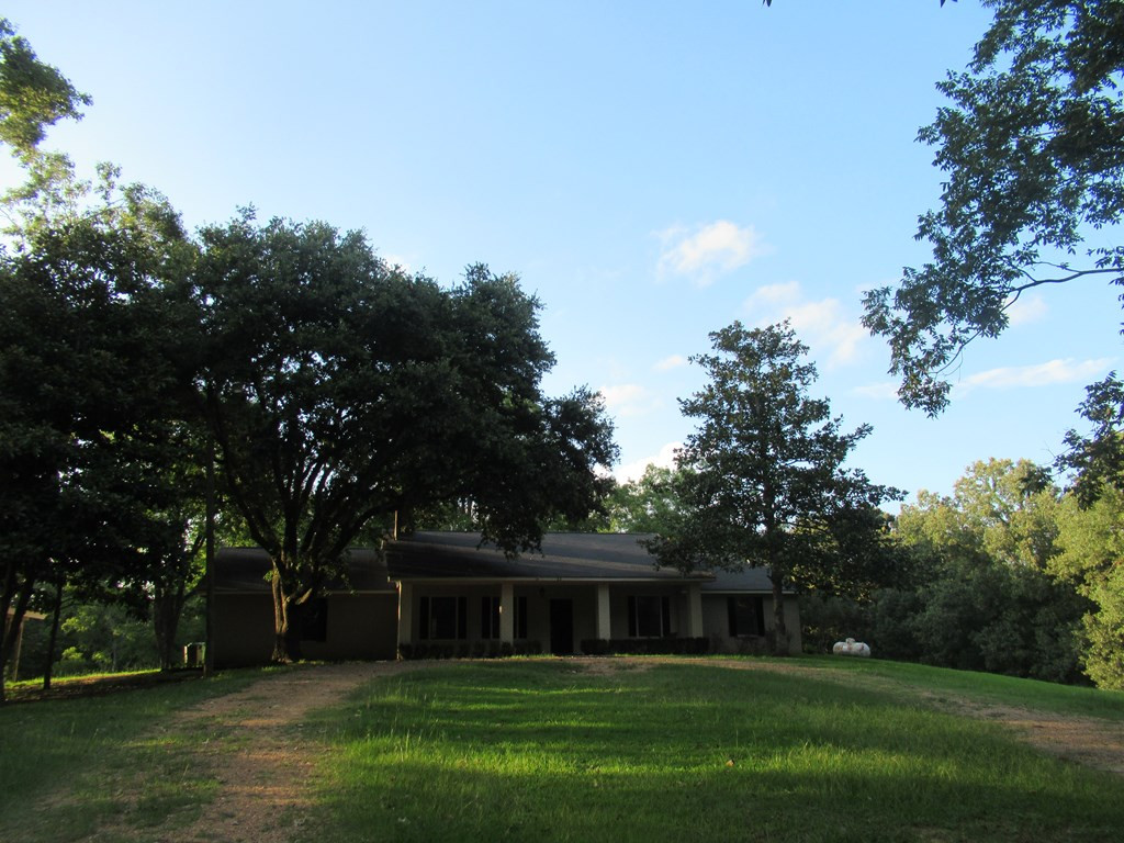 63 Stirling Road Natchez, MS 39120 - Photo 48 of 49 Photo 79