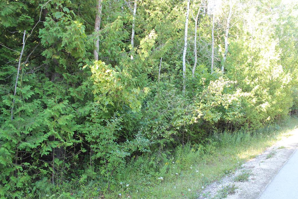 Lot 2 Gibraltar Road Fish Creek, WI 54212 - Photo 6 of 12