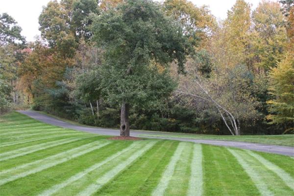 165 Millville Road Mendon, MA 01756 - Photo 7 of 30 Gallery Image 7