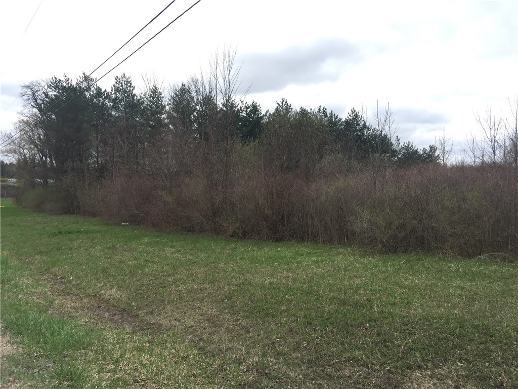 0 Colby Road Corfu, NY 14036 - Photo 1 of 1