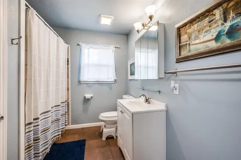 a bathroom with a sink a toilet and shower curtain
