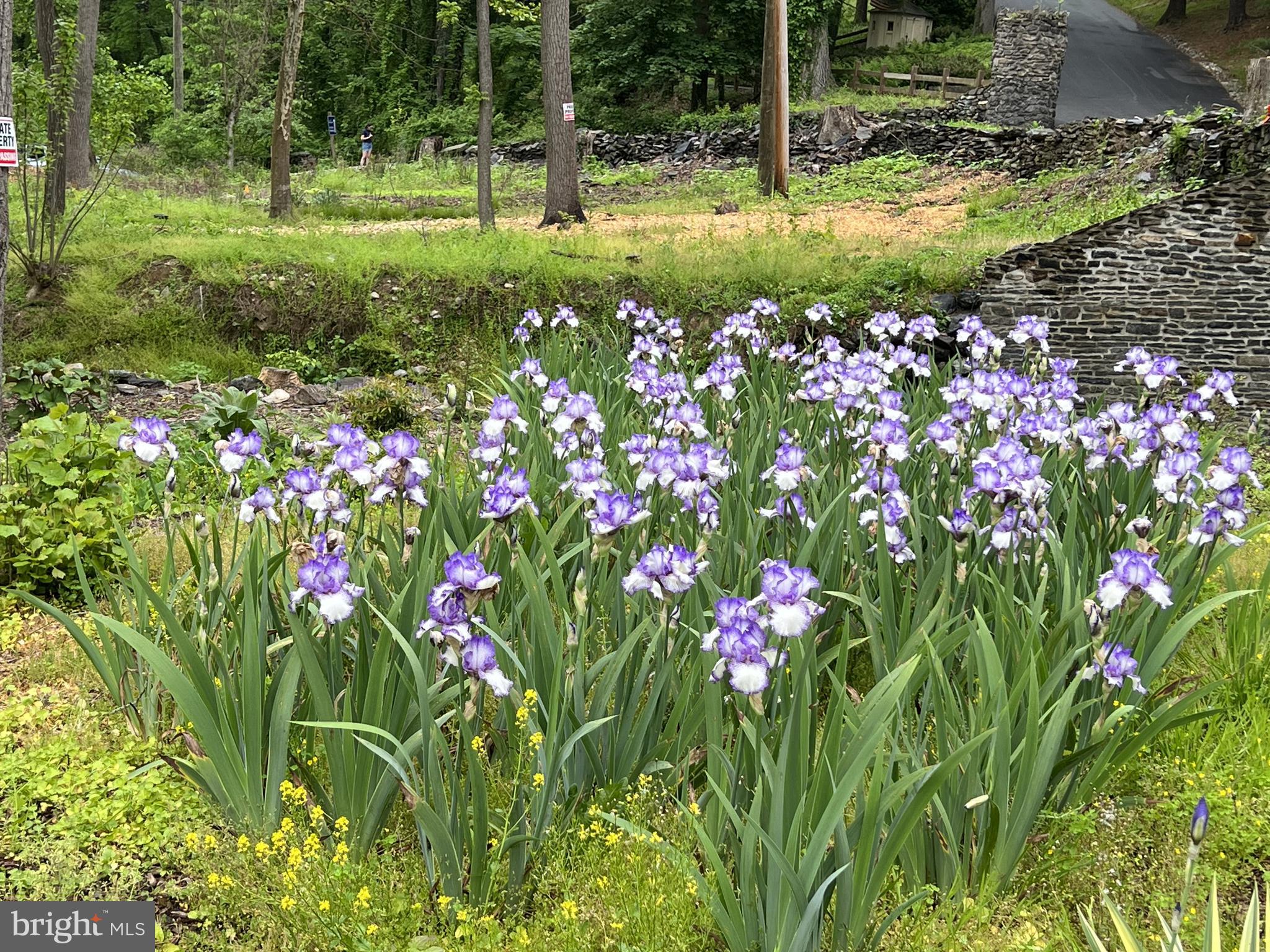 1850 Spring Mill Road Gladwyne, PA 19035 - Photo 13 of 37