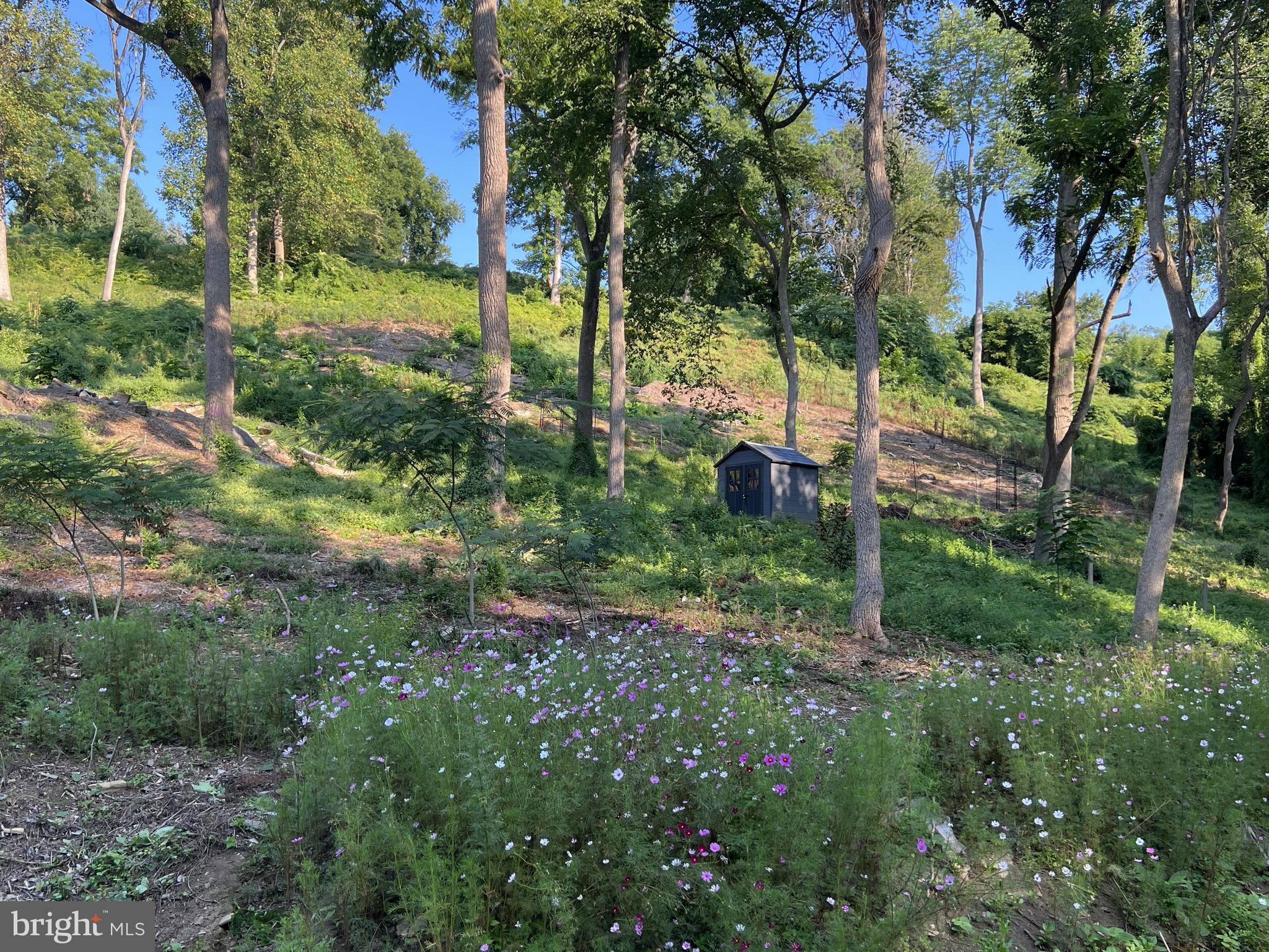 1850 Spring Mill Road Gladwyne, PA 19035 - Photo 14 of 37