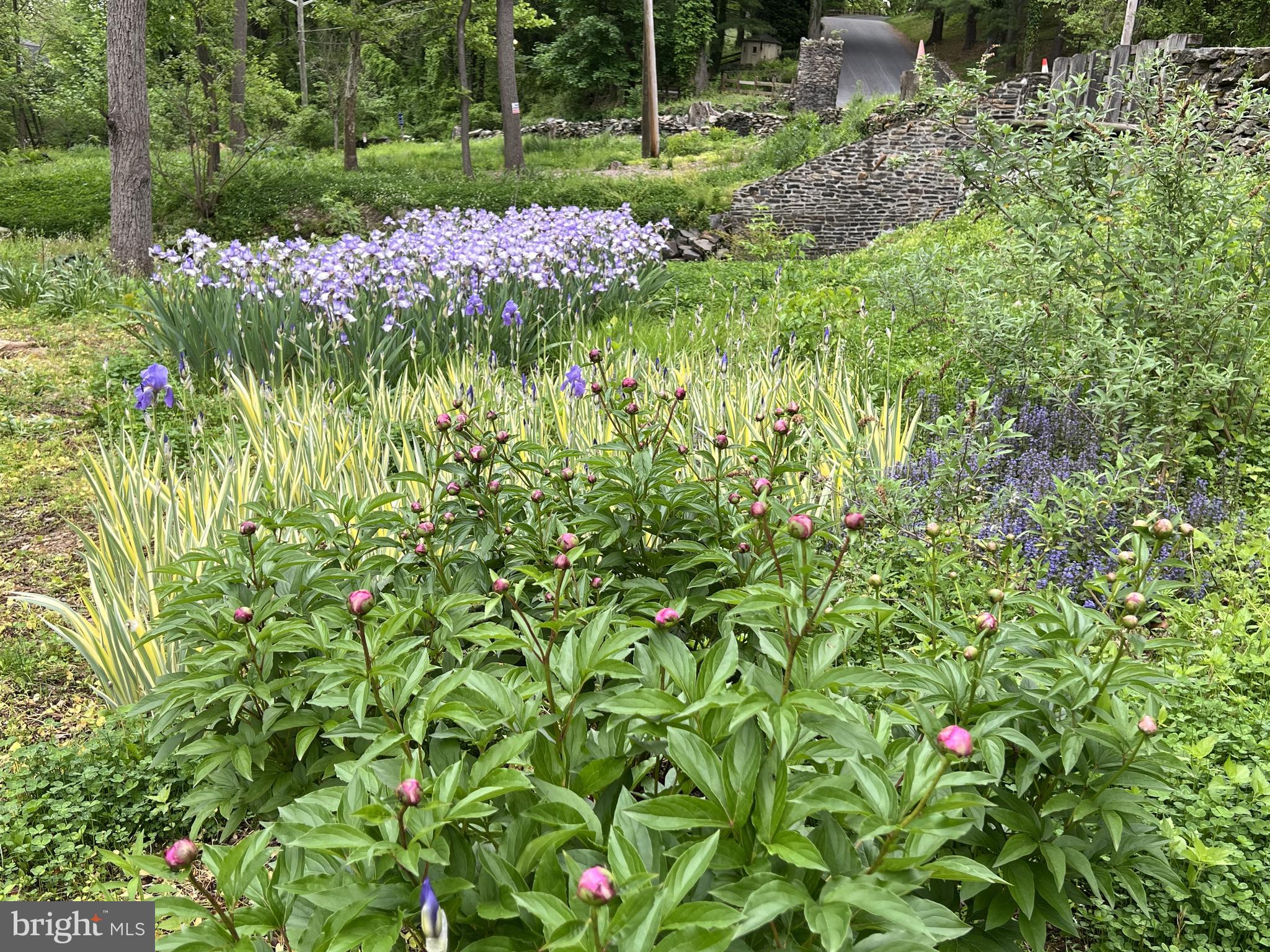 1850 Spring Mill Road Gladwyne, PA 19035 - Photo 15 of 37