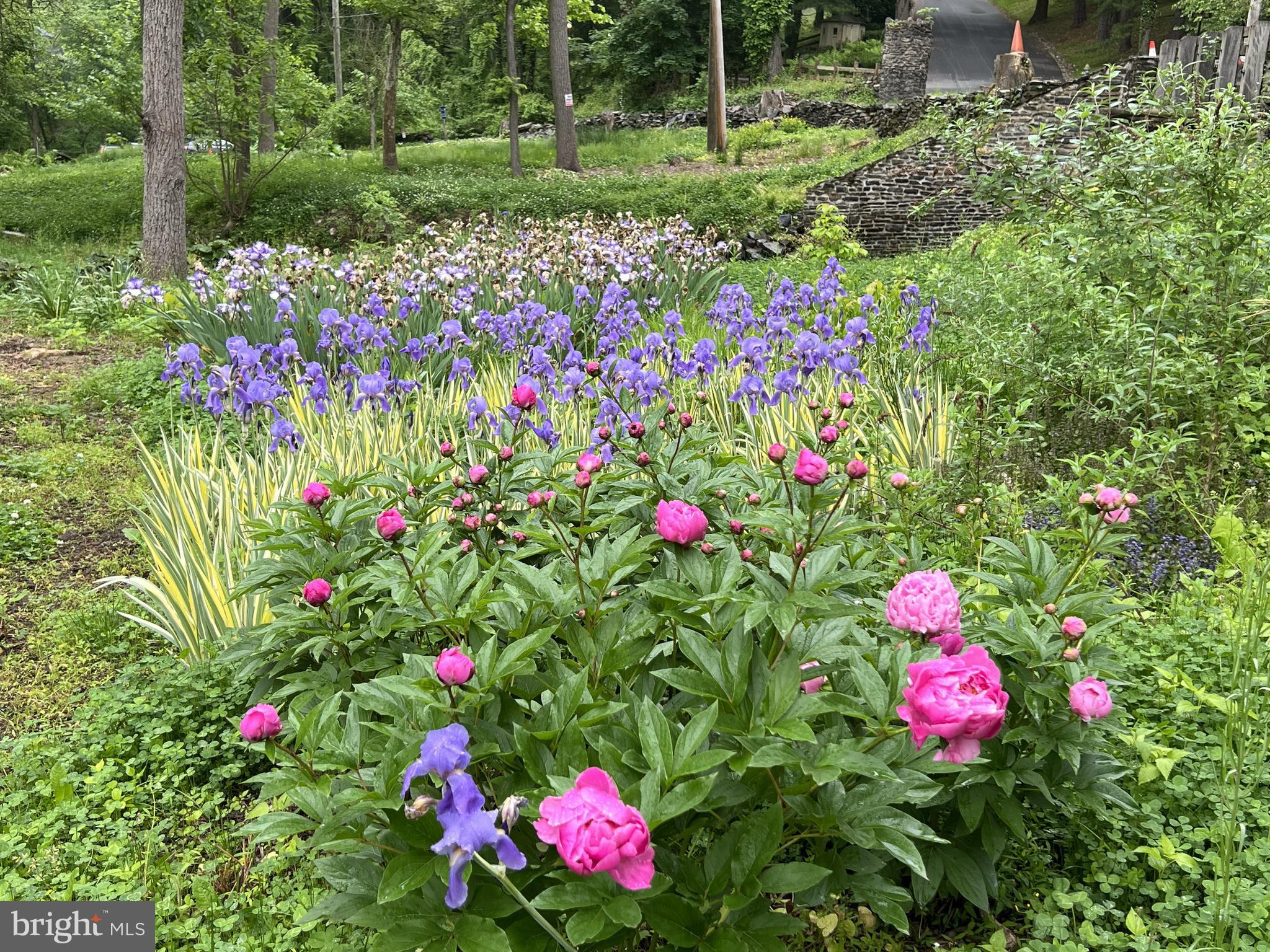 1850 Spring Mill Road Gladwyne, PA 19035 - Photo 16 of 37