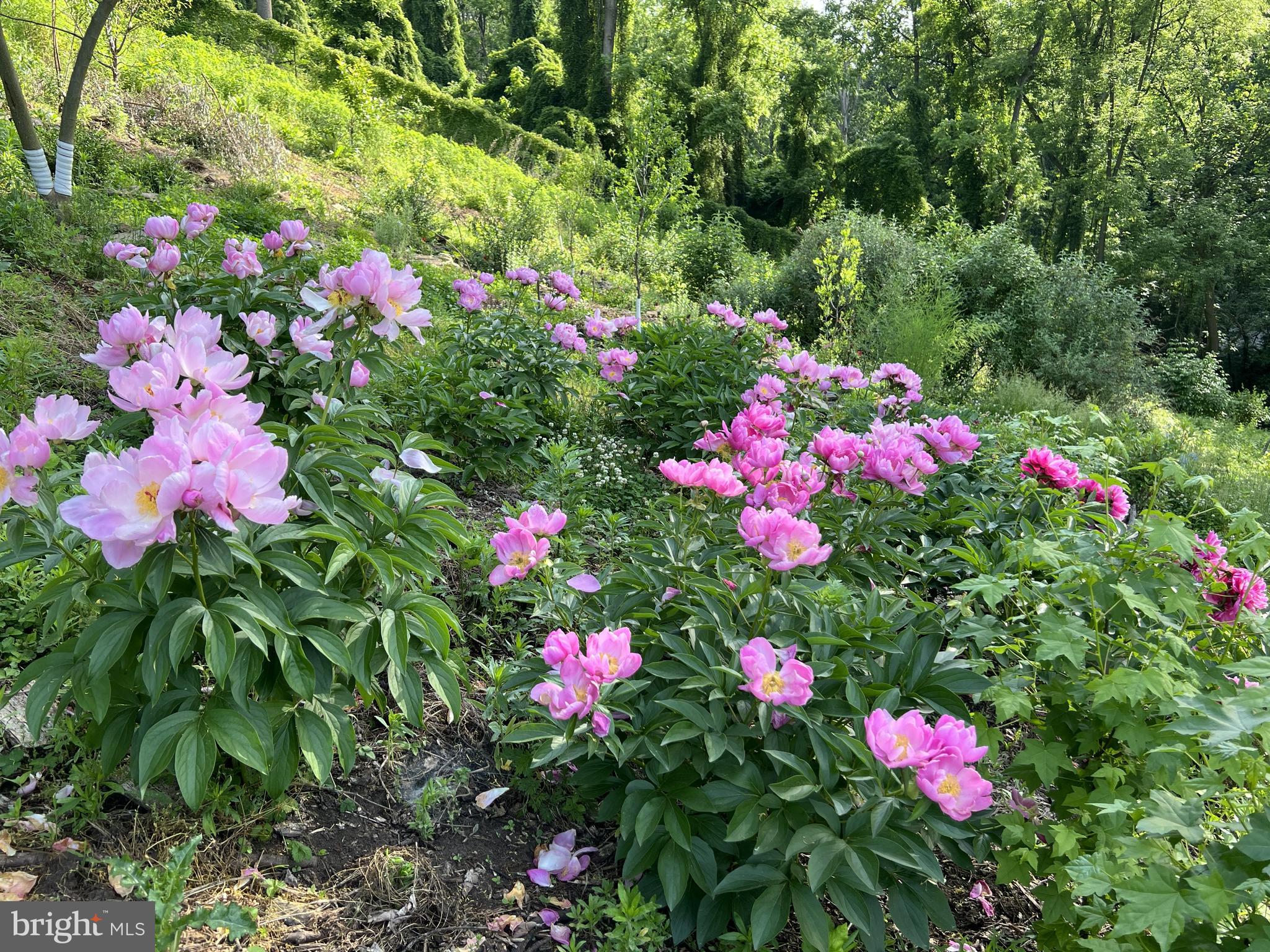 1850 Spring Mill Road Gladwyne, PA 19035 - Photo 17 of 37