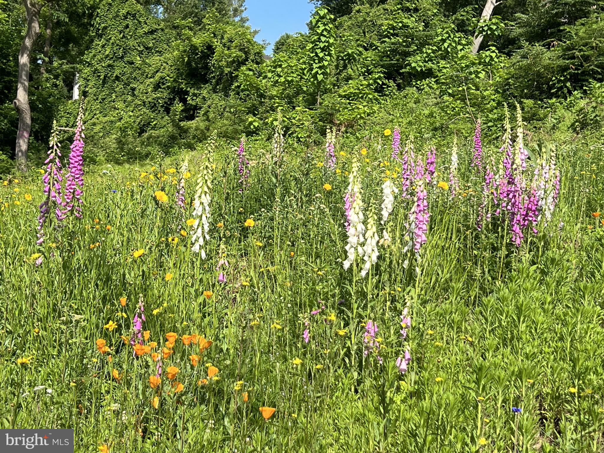 1850 Spring Mill Road Gladwyne, PA 19035 - Photo 18 of 37