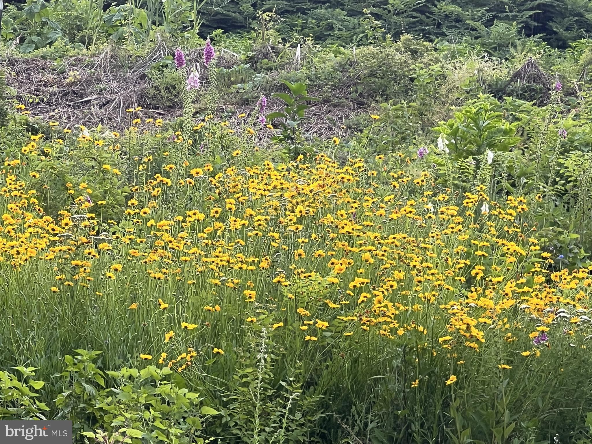 1850 Spring Mill Road Gladwyne, PA 19035 - Photo 19 of 37