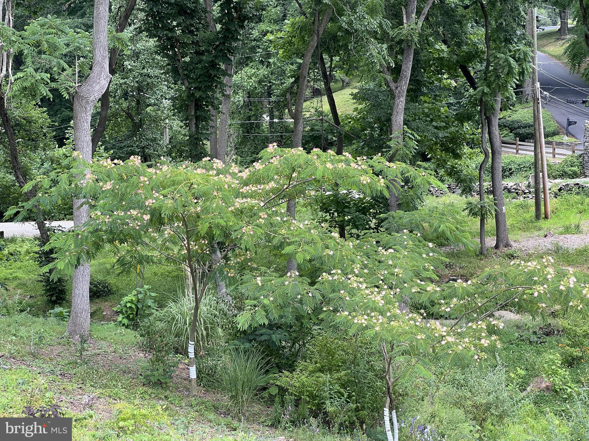 1850 Spring Mill Road Gladwyne, PA 19035 - Photo 20 of 37