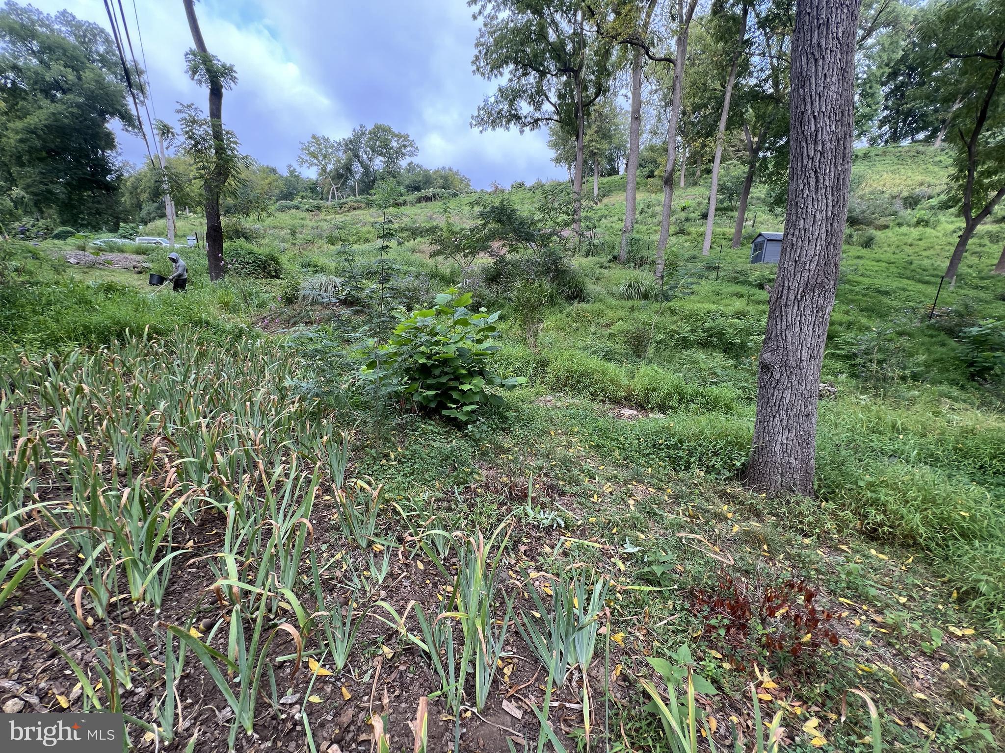 1850 Spring Mill Road Gladwyne, PA 19035 - Photo 24 of 37