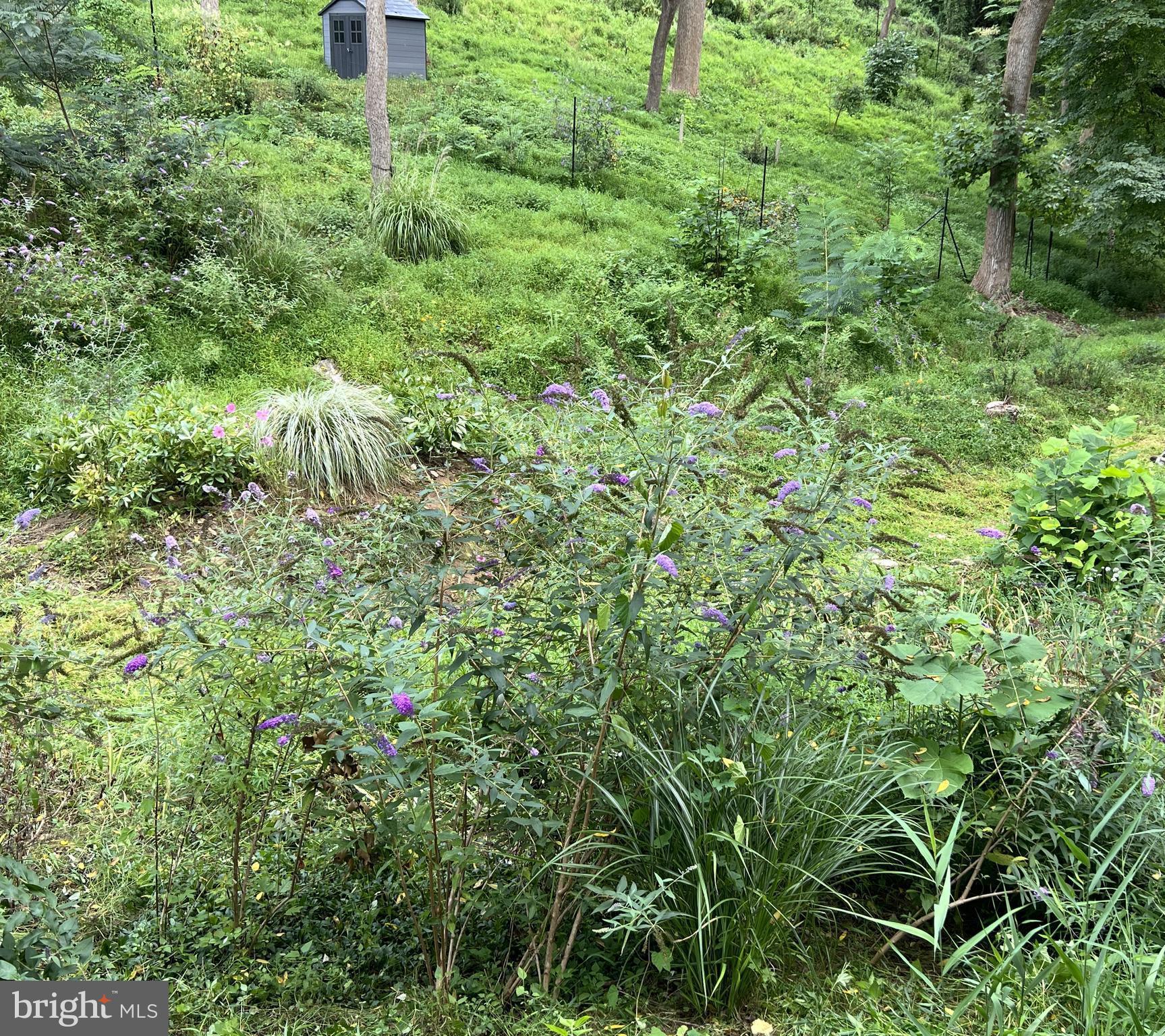 1850 Spring Mill Road Gladwyne, PA 19035 - Photo 25 of 37