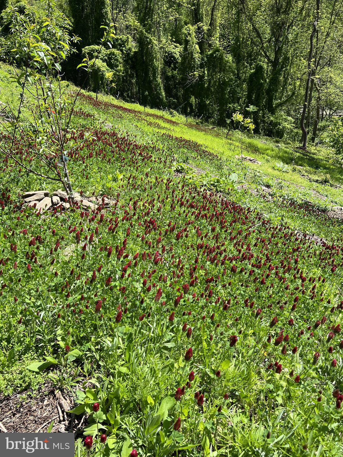 1850 Spring Mill Road Gladwyne, PA 19035 - Photo 26 of 37