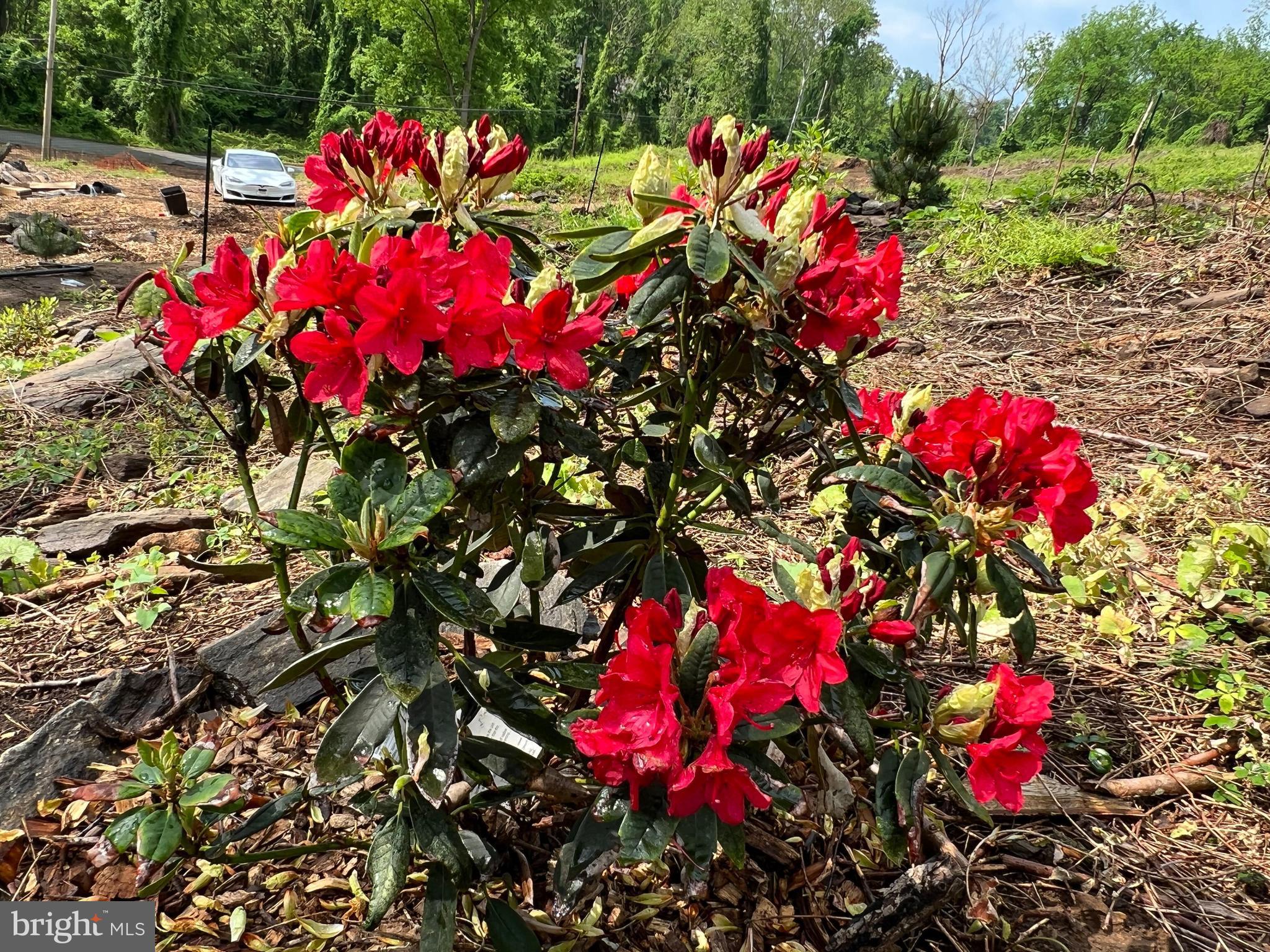 1850 Spring Mill Road Gladwyne, PA 19035 - Photo 28 of 37