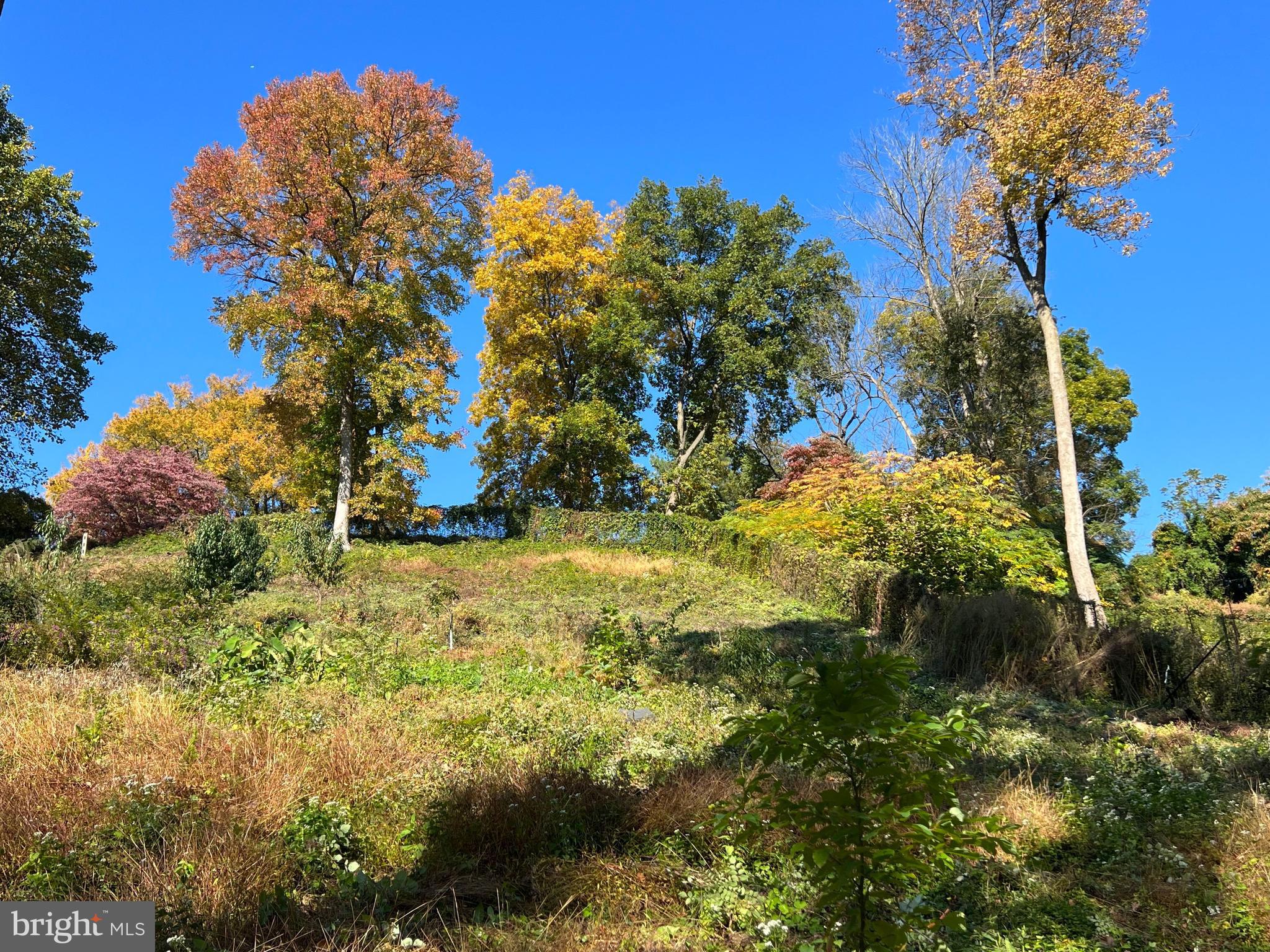 1850 Spring Mill Road Gladwyne, PA 19035 - Photo 31 of 37
