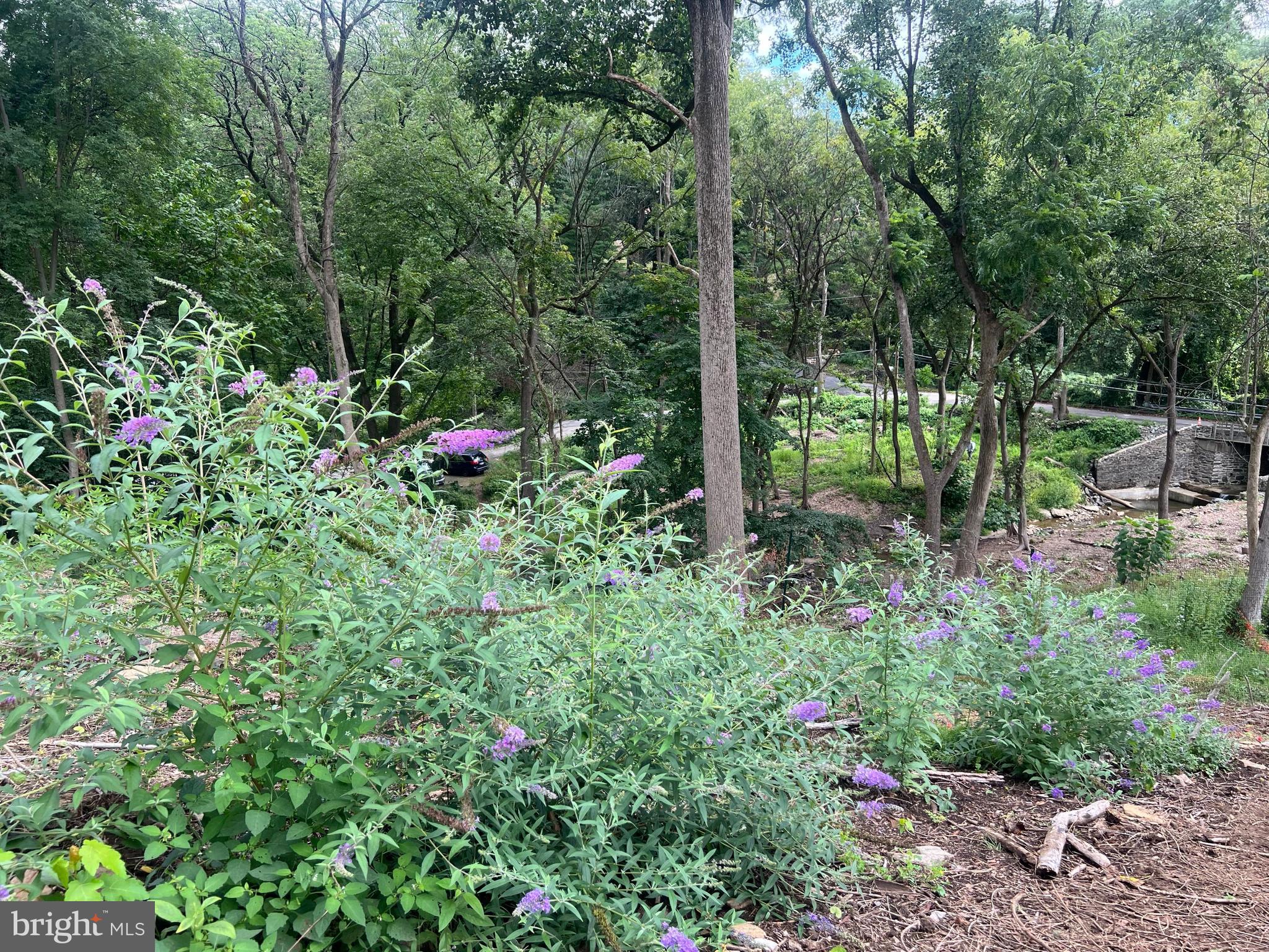 1850 Spring Mill Road Gladwyne, PA 19035 - Photo 32 of 37