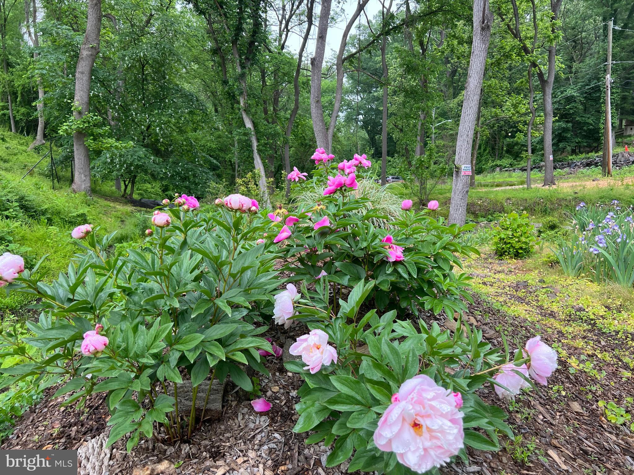 1850 Spring Mill Road Gladwyne, PA 19035 - Photo 10 of 37