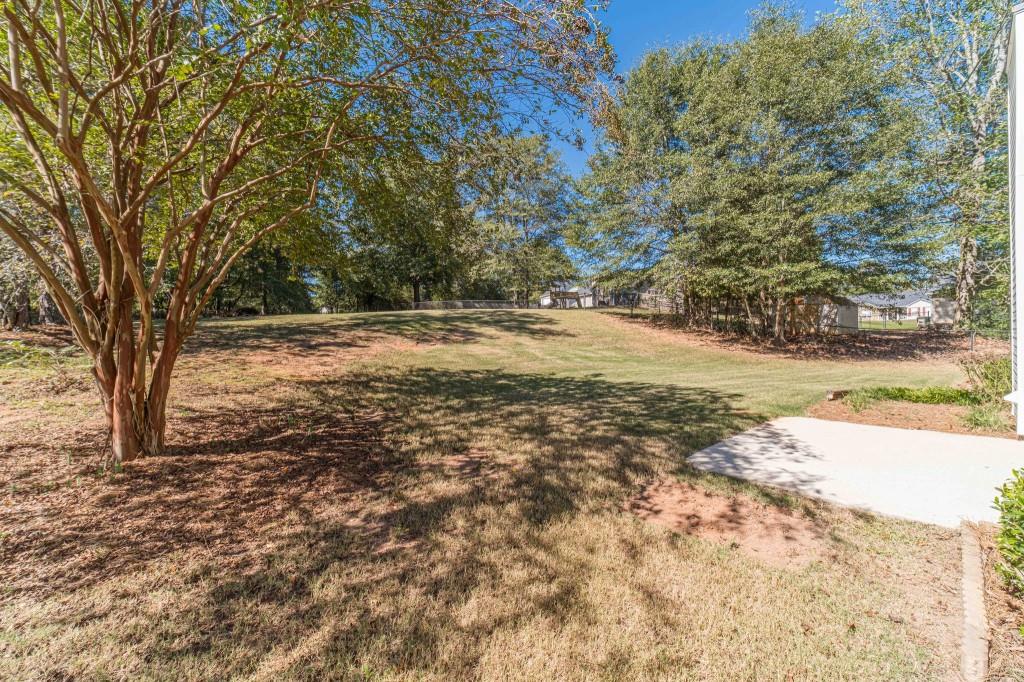 701 Woodland Ridge Drive Monroe, GA 30656 - Photo 33 of 39 a view of dirt yard with a large tree