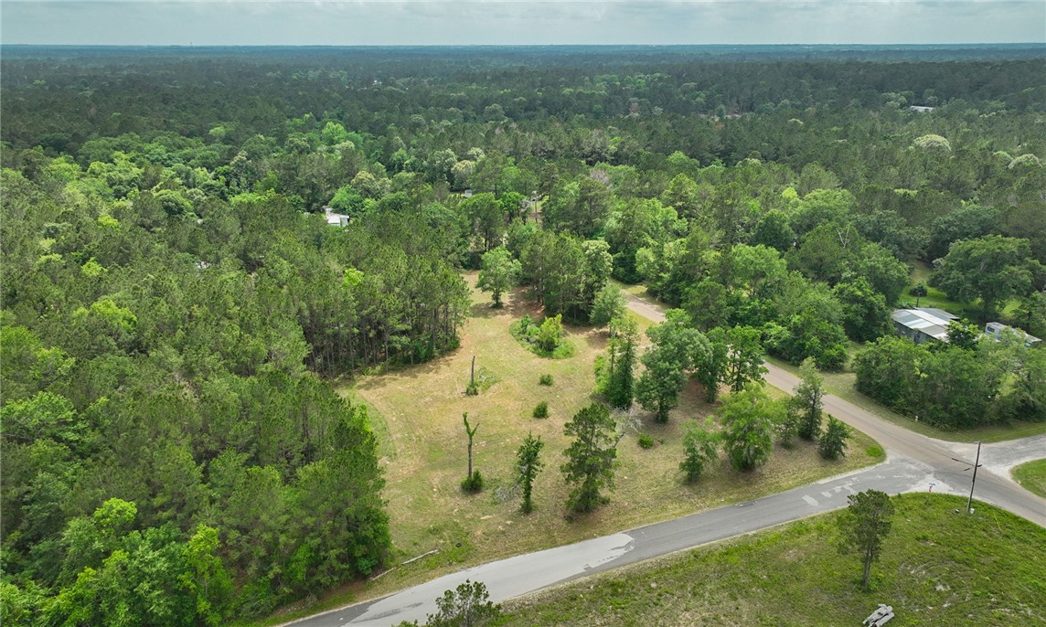 5914 Carter Road Waller, TX 77484 - Photo 9 of 41
