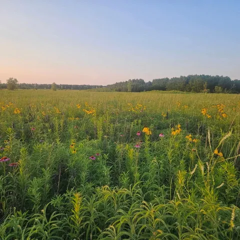 $2,500,000 | 1340 East 2700 North Road, Clifton, IL 60927