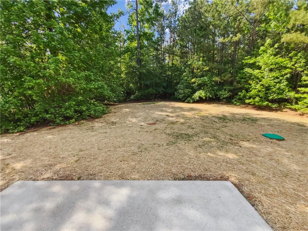 145 Shadowbrook Trace Covington, GA 30016 - Photo 15 of 21