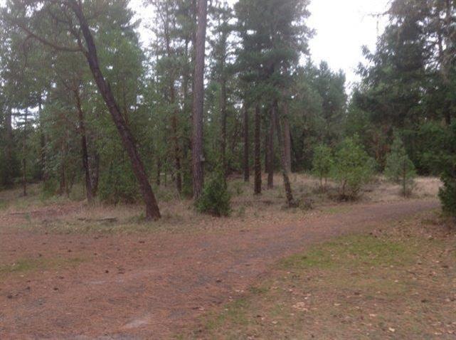 9050 Hillcrest Road Eagle Point, OR 97524 - Photo 12 of 22 Additional Photo