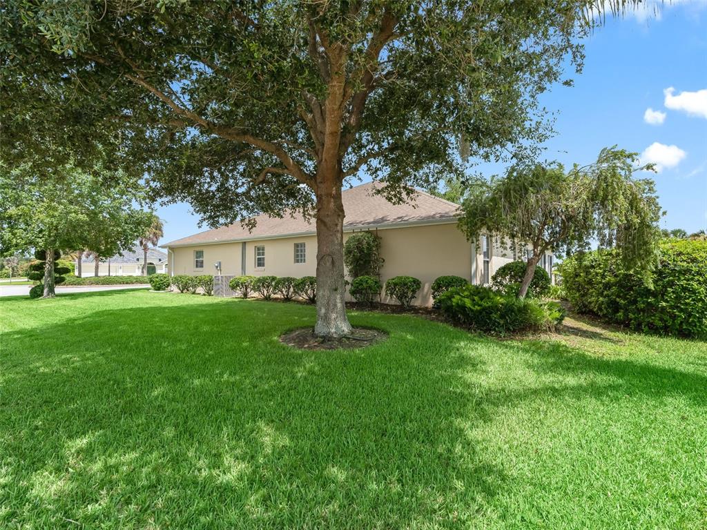 2215 Triggerfish Run The Villages, FL 32162 - Photo 36 of 39