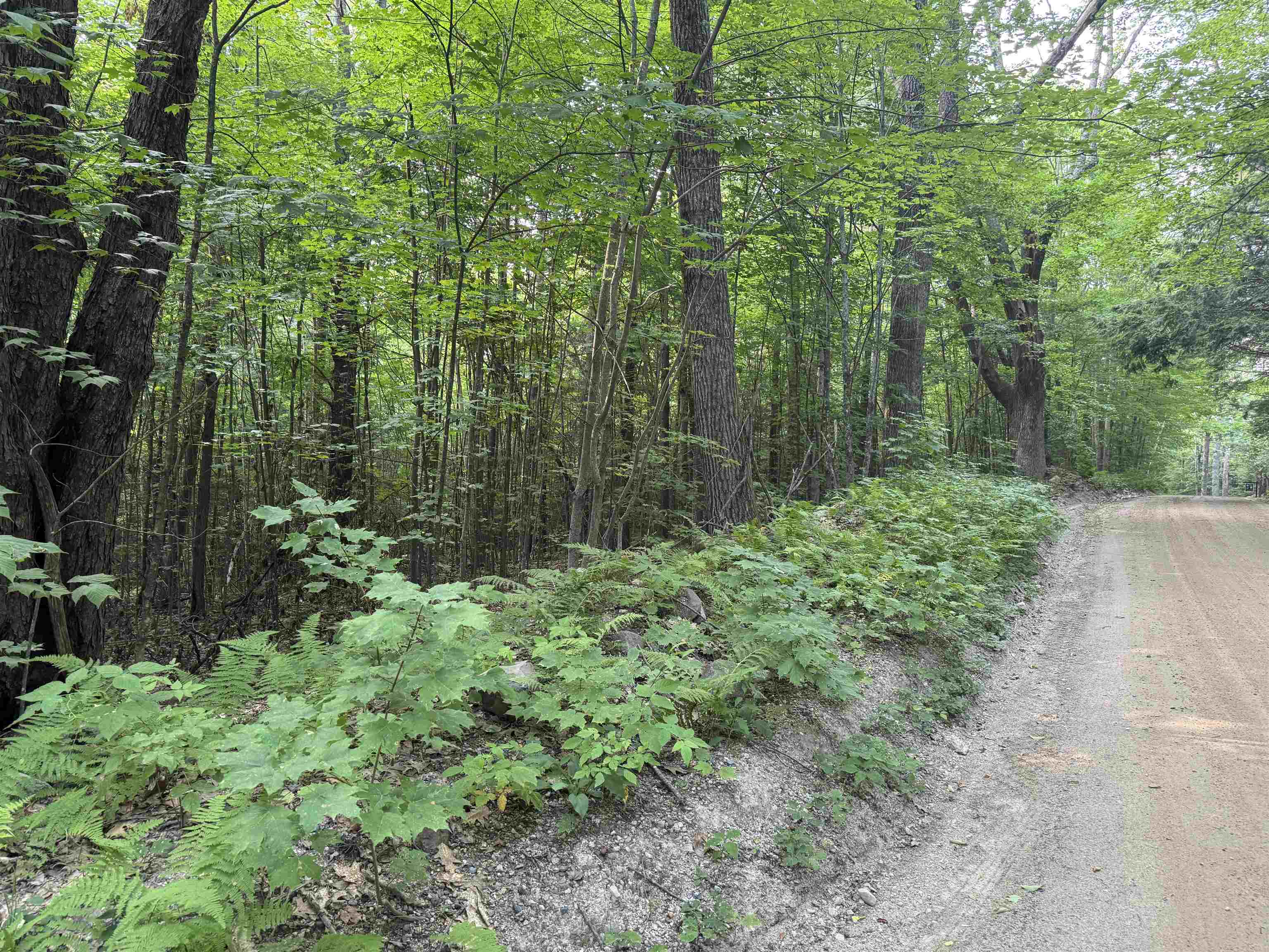 190 Circuit Road Ossipee, NH 03864 - Photo 1 of 56