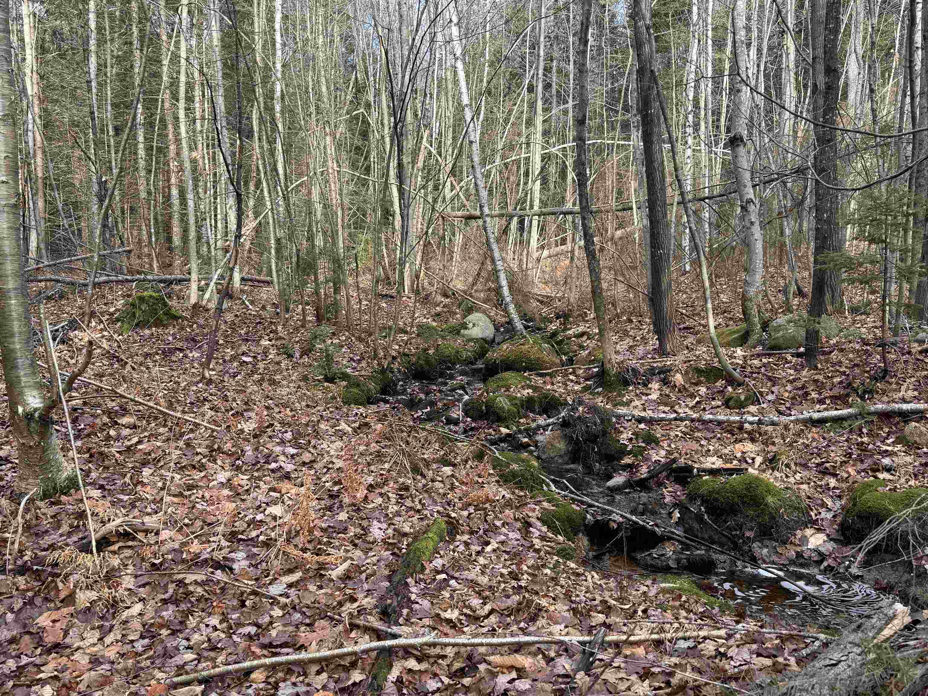 190 Circuit Road Ossipee, NH 03864 - Photo 11 of 56