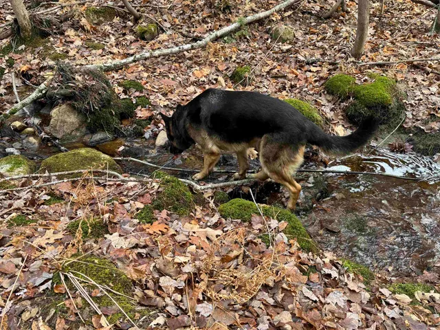 $120,000 | 190 Circuit Road, Ossipee, NH 03864