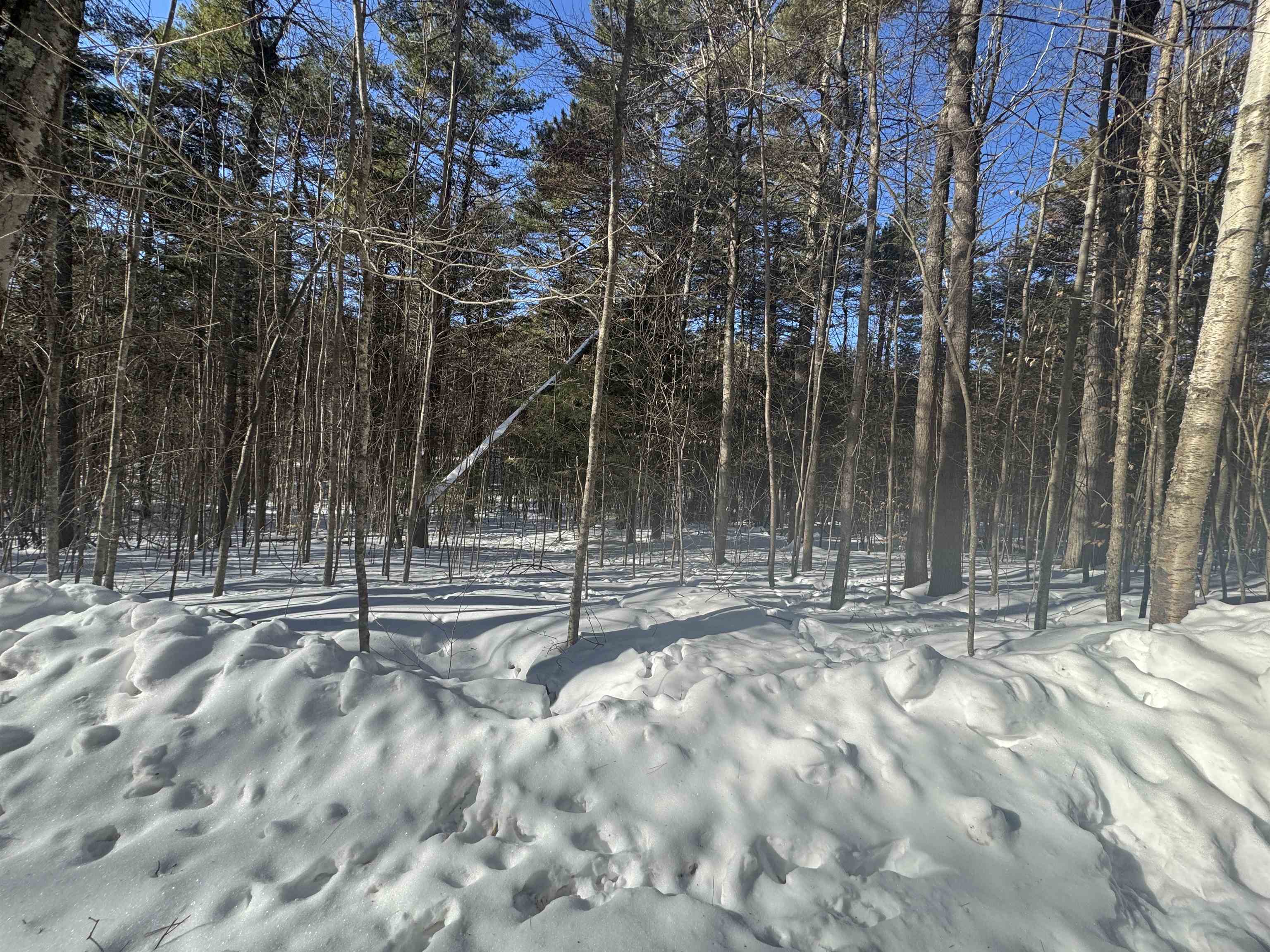 190 Circuit Road Ossipee, NH 03864 - Photo 11 of 57