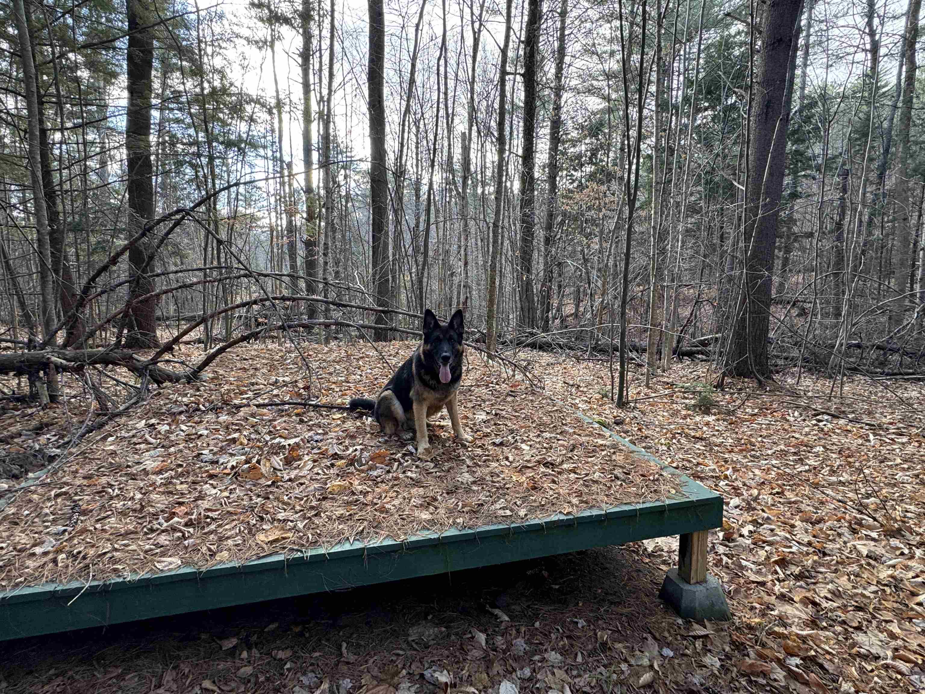 190 Circuit Road Ossipee, NH 03864 - Photo 12 of 57