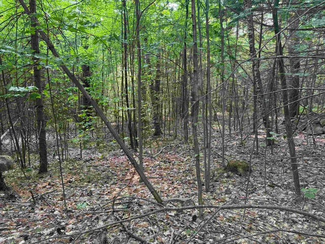 $120,000 | 190 Circuit Road, Ossipee, NH 03864