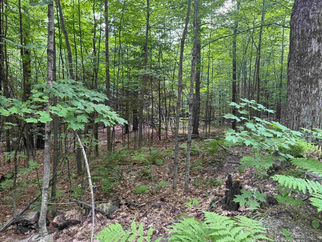 $120,000 | 190 Circuit Road, Ossipee, NH 03864