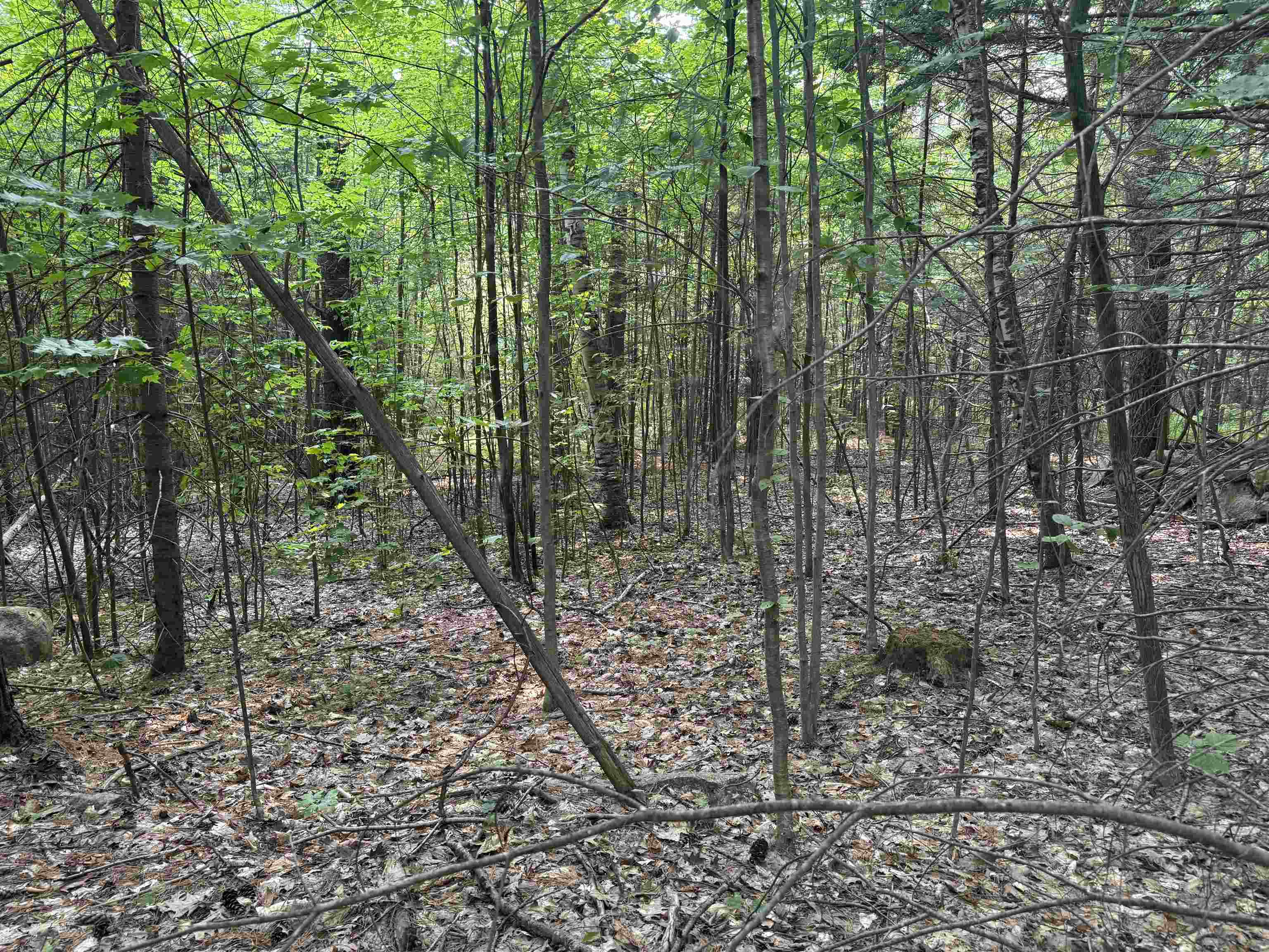 190 Circuit Road Ossipee, NH 03864 - Photo 14 of 57