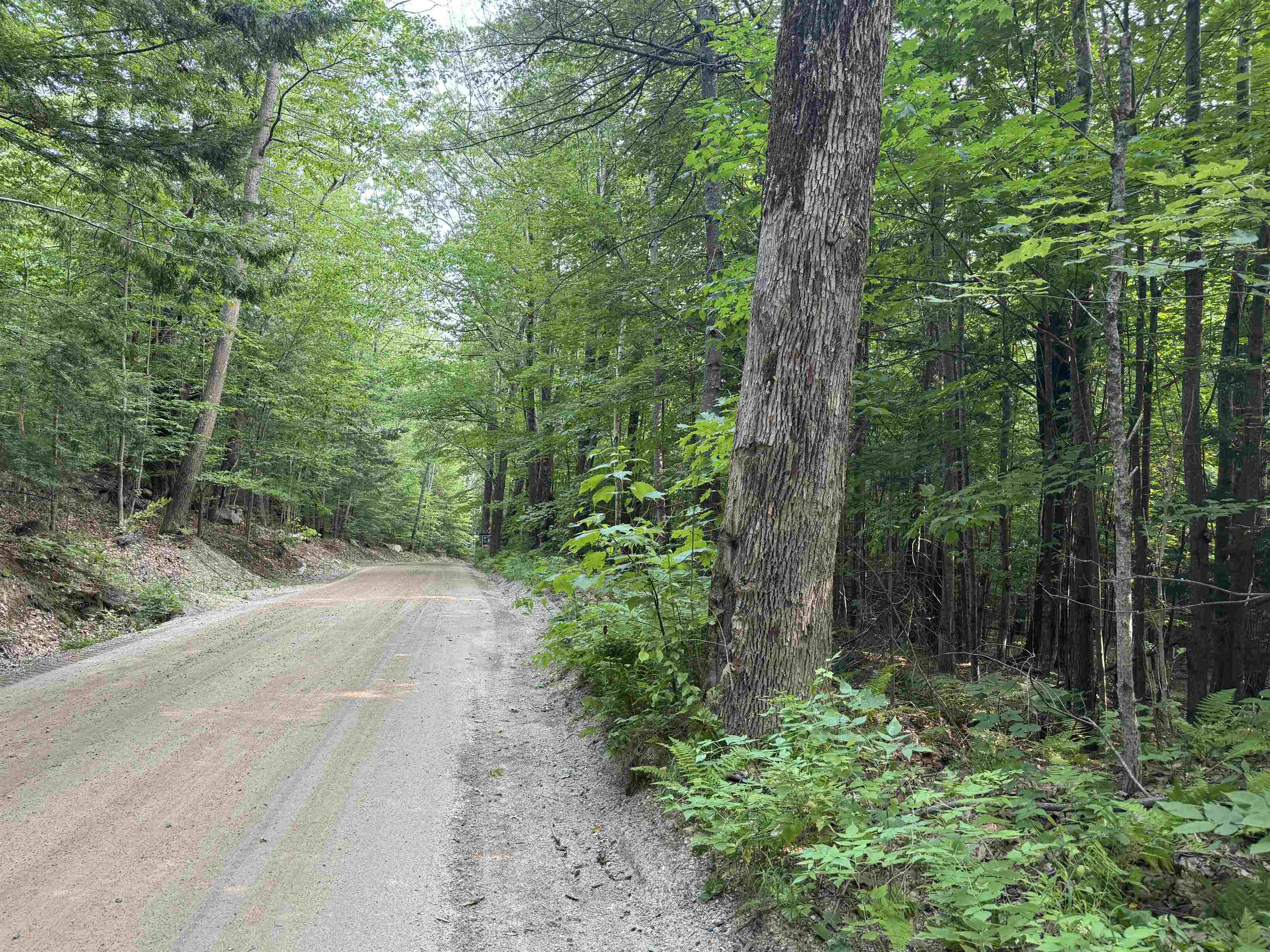 190 Circuit Road Ossipee, NH 03864 - Photo 15 of 57