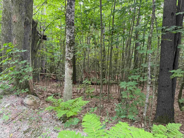 $120,000 | 190 Circuit Road, Ossipee, NH 03864